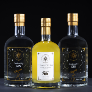 Zesty Gin Cocktail Bundle